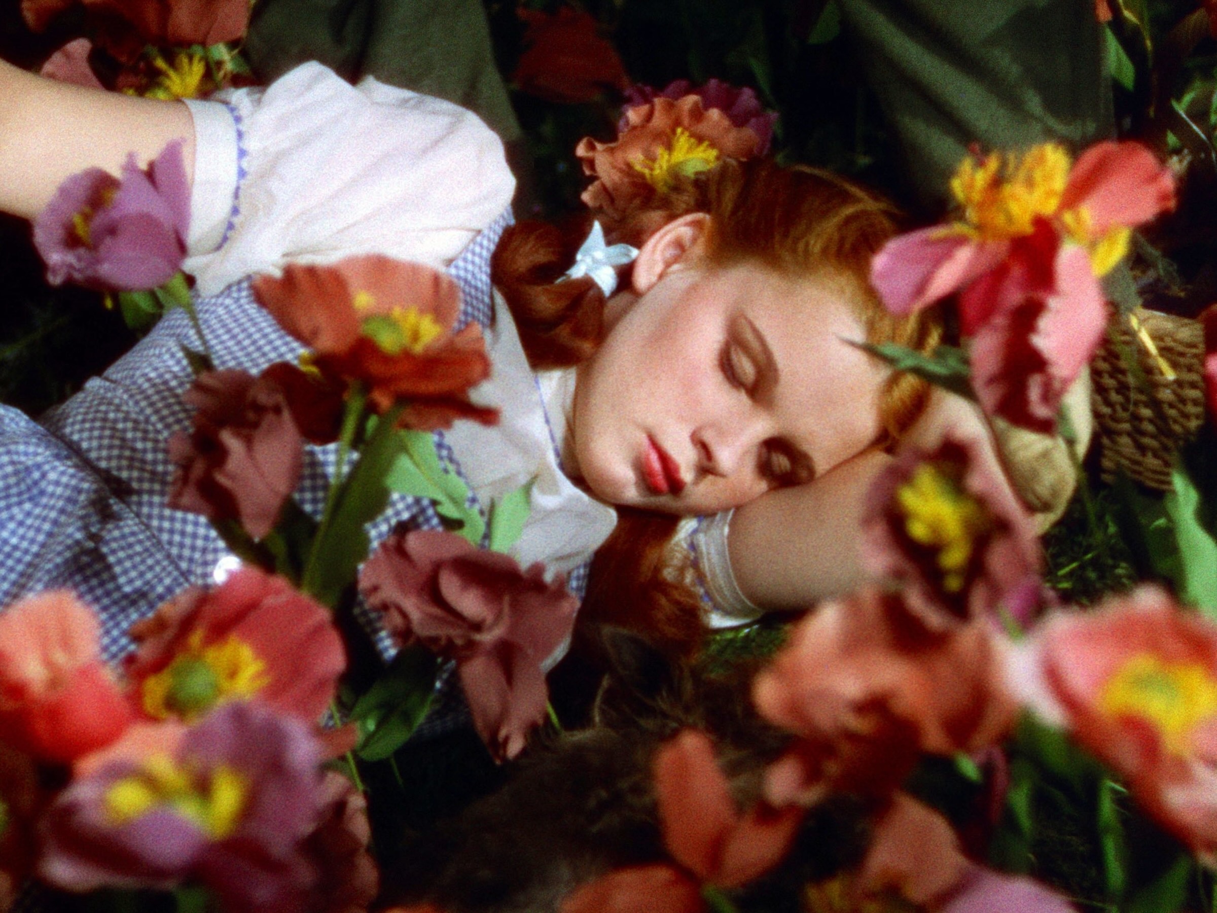 The Wizard of Oz